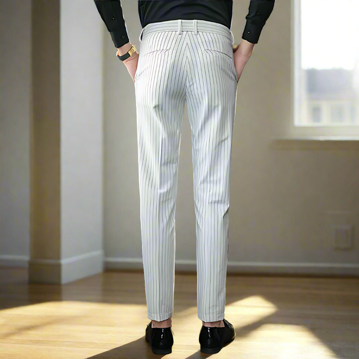 Men Vertical Stripe Slim Fit Trousers | Dencio