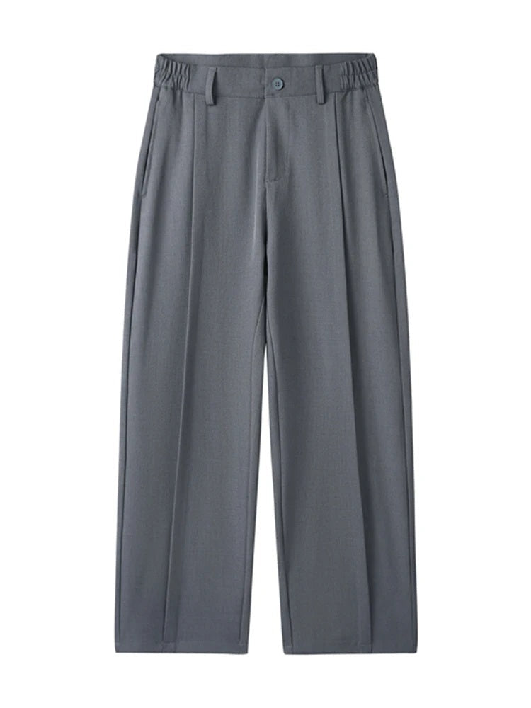Men Wide-Leg Pleated Pants | Teo