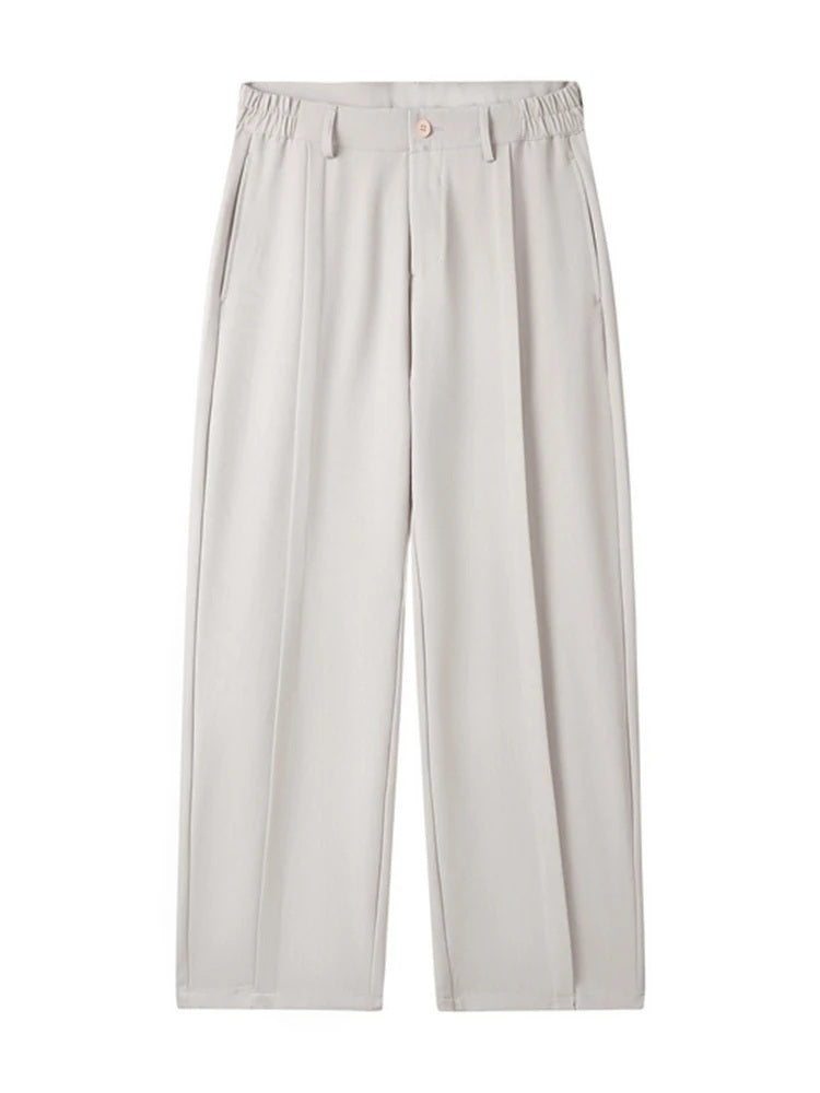 Men Wide-Leg Pleated Pants | Teo