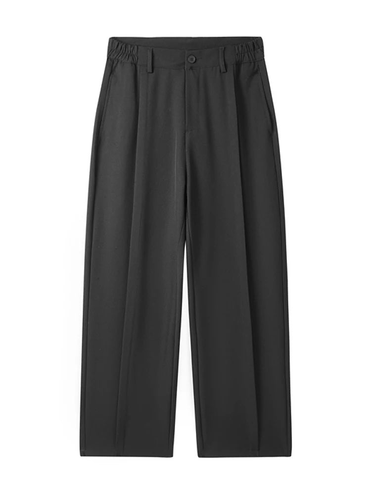 Men Wide-Leg Pleated Pants | Teo